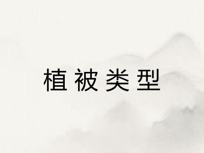 植被类型