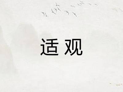 适观