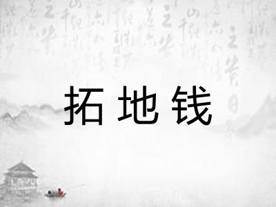 拓地钱
