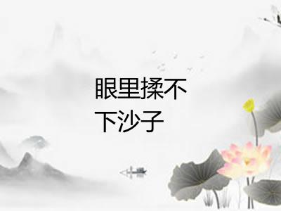 眼里揉不下沙子