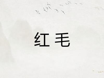 红毛