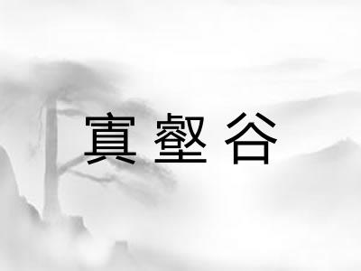 寘壑谷