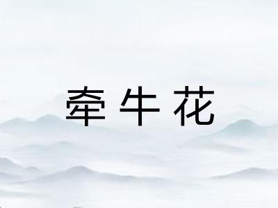 牵牛花