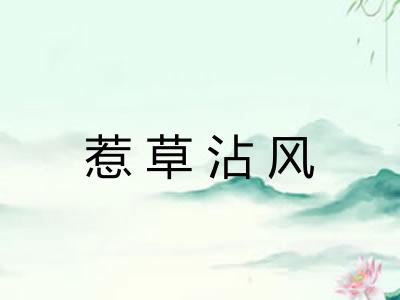 惹草沾风