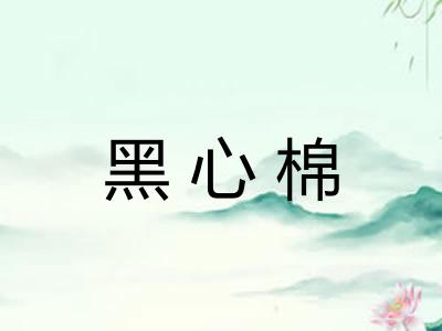 黑心棉