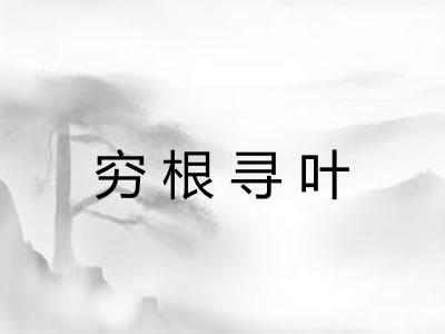 穷根寻叶