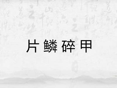片鳞碎甲