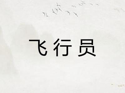 飞行员