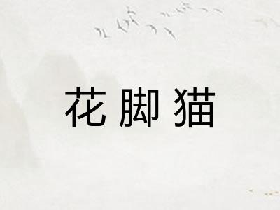 花脚猫