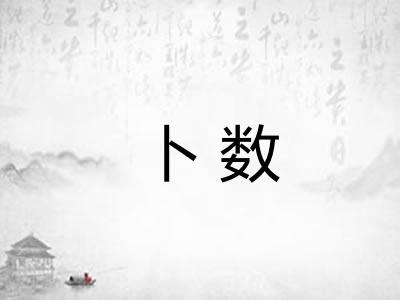 卜数