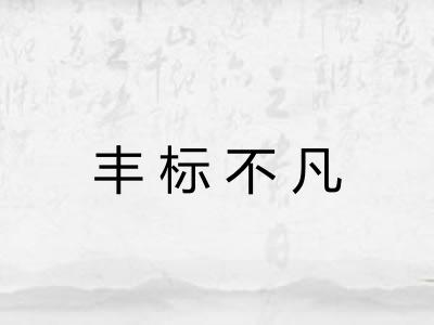丰标不凡