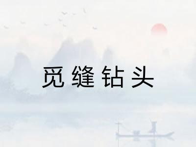 觅缝钻头