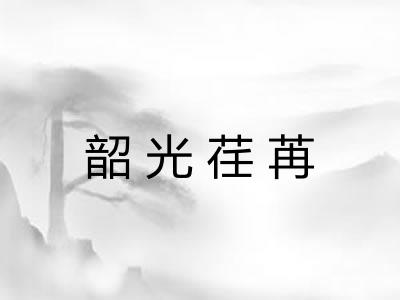 韶光荏苒
