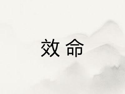 效命