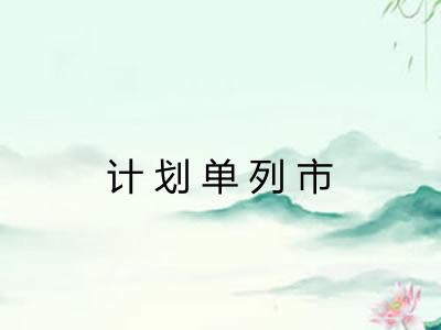 计划单列市