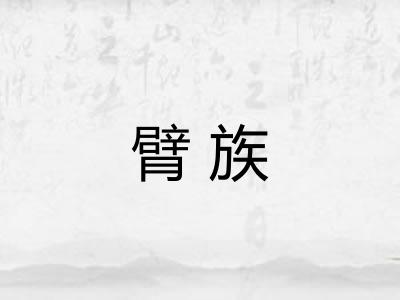 臂族