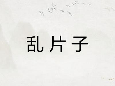 乱片子
