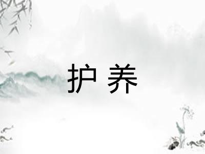 护养
