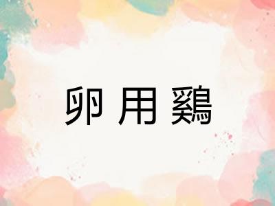 卵用鷄