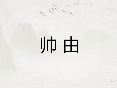 帅由