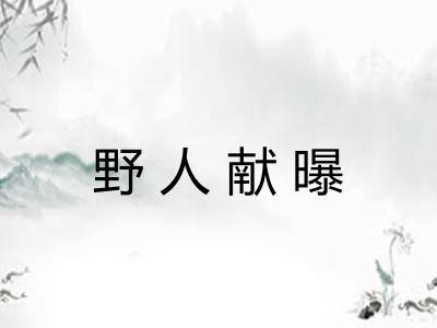 野人献曝