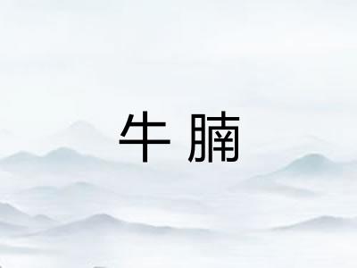 牛腩