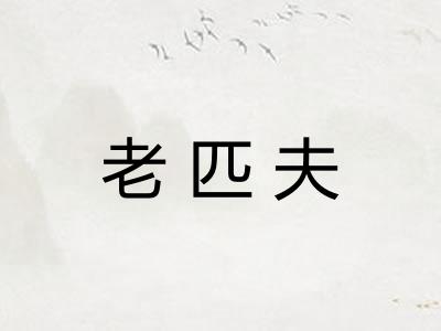 老匹夫