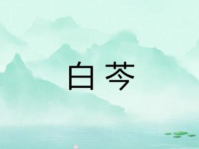 白芩