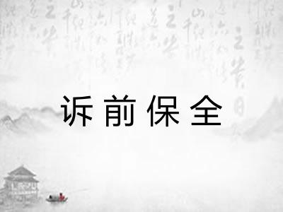 诉前保全