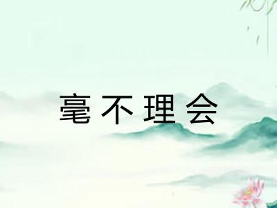 毫不理会
