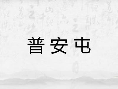 普安屯