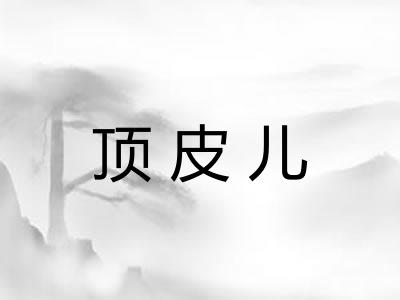 顶皮儿
