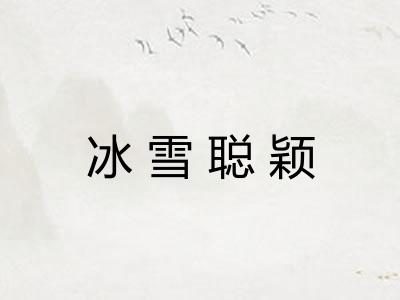 冰雪聪颖