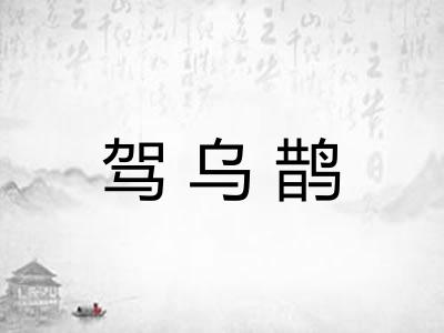 驾乌鹊