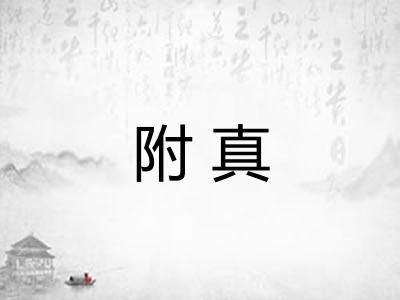附真
