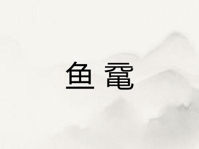 鱼鼋