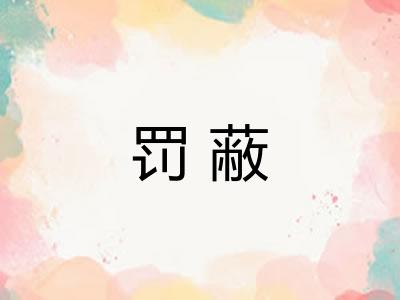 罚蔽