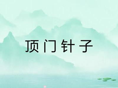 顶门针子