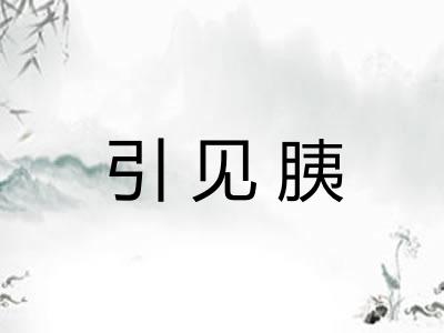引见胰