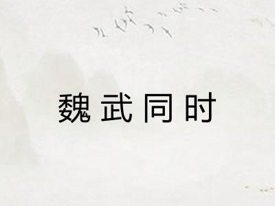 魏武同时