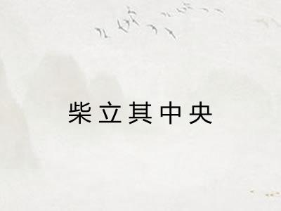 柴立其中央