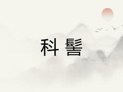 科髻