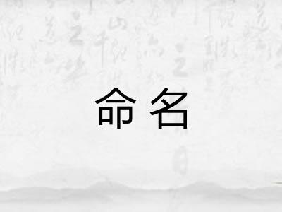 命名