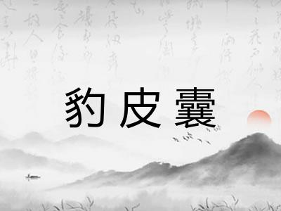 豹皮囊