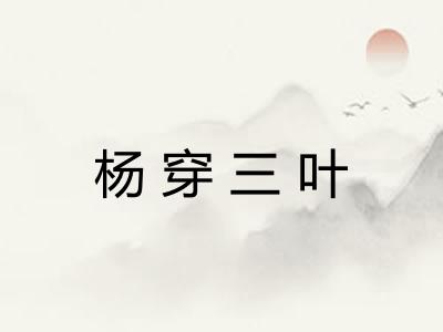 杨穿三叶