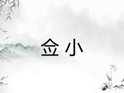佥小