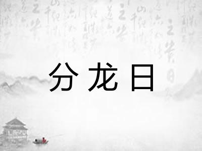 分龙日