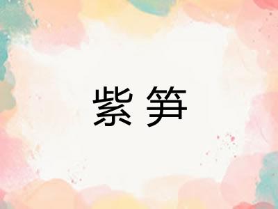 紫笋