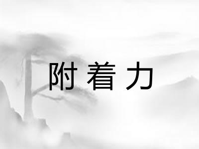 附着力