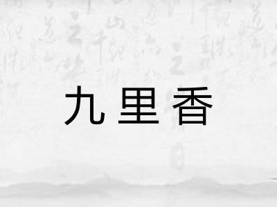 九里香